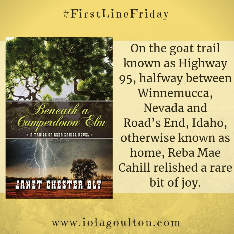 On the goat trail known as Highway 95, halfway between Winnemucca, Nevada and Road’s End, Idaho, otherwise known as home, Reba Mae Cahill relished a rare bit of joy.